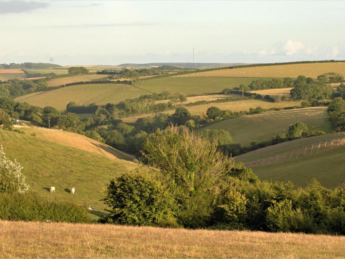 Mabel'S View Villa Totnes Exteriör bild